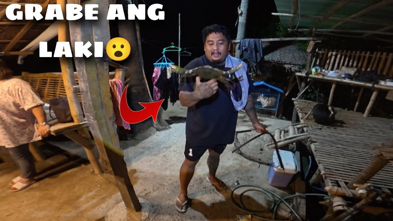 KASING LAKI NG MUKHA ANG ALIMANGO 😮