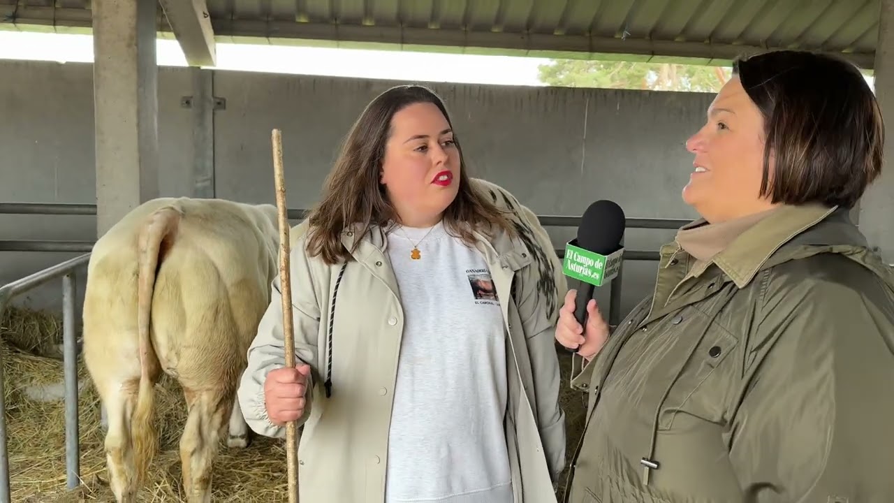Entrevista a Inés de Ganadería Suárez, de Camonal (Langreo), en la feria de #SanIsidro en #llanera