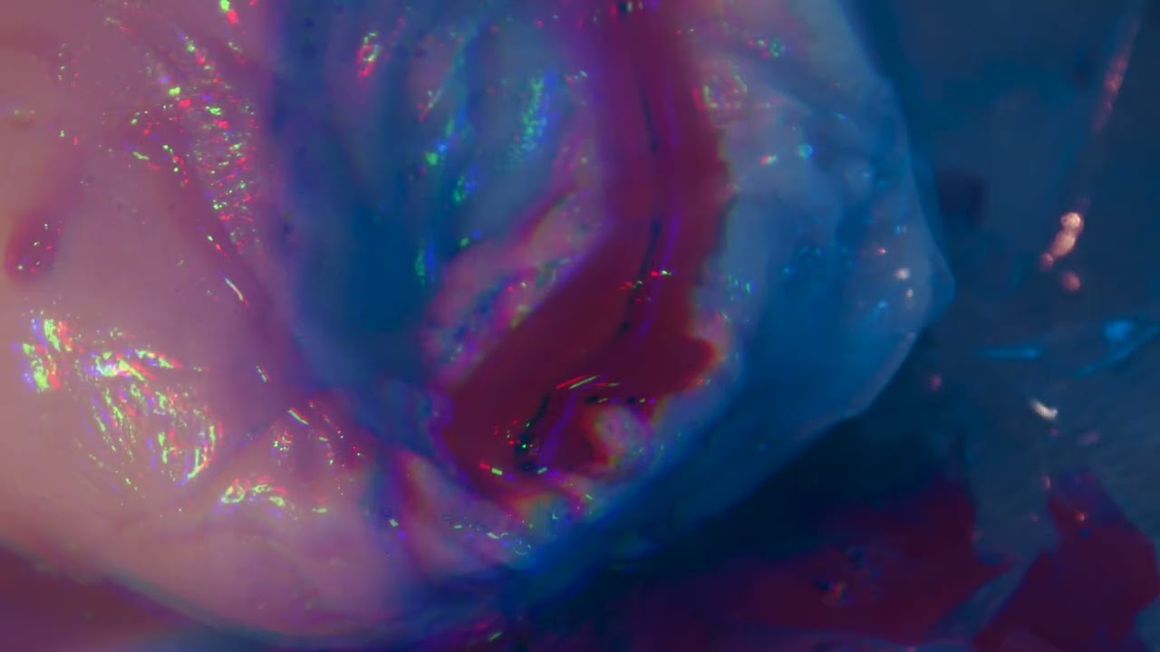 Insatiable Human (Trailer) - Roz Yuen & Sydney Mills