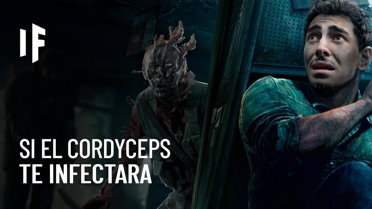 ¿Qué pasaría si fueras infectado por el hongo Cordyceps?