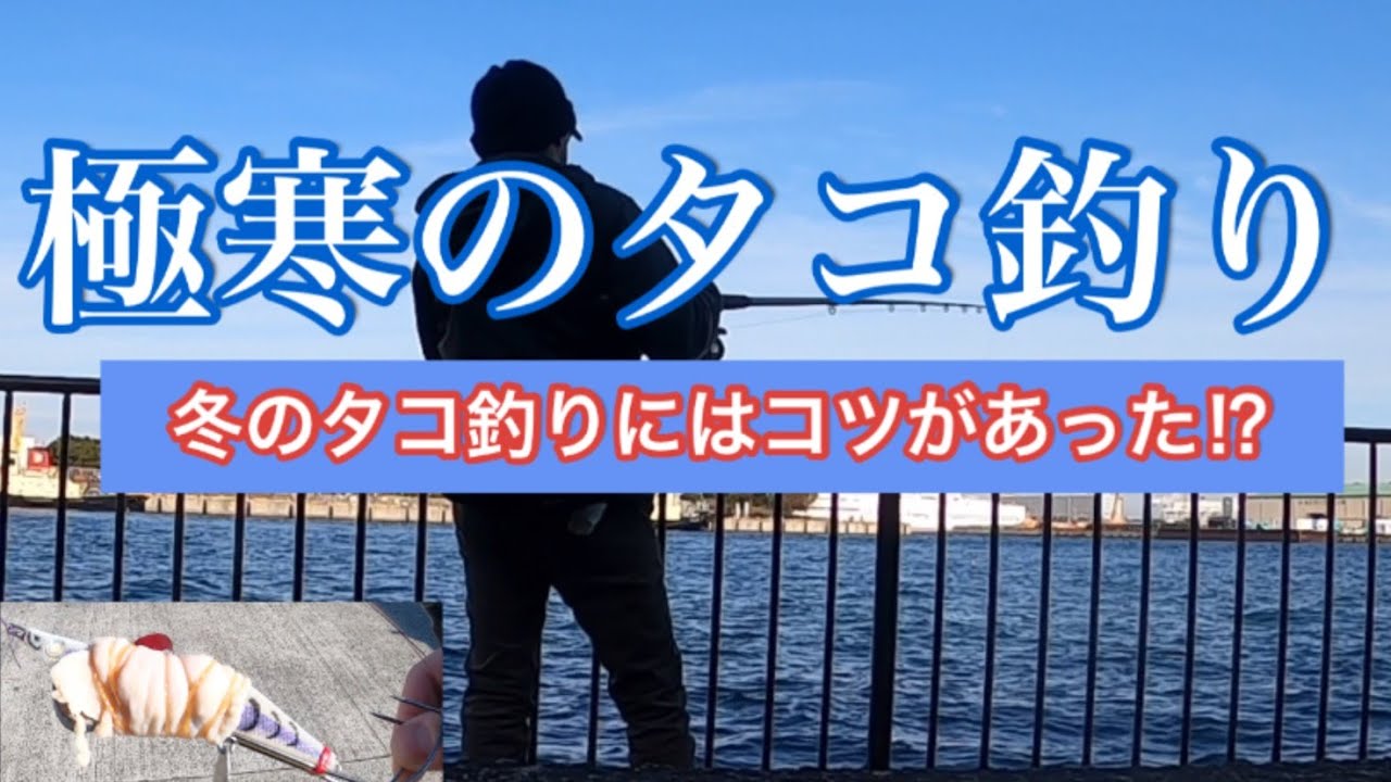 冬こそタコ釣りしませんか？皆さんはご存知でしたか？冬にタコ釣を釣るコツを⁉︎