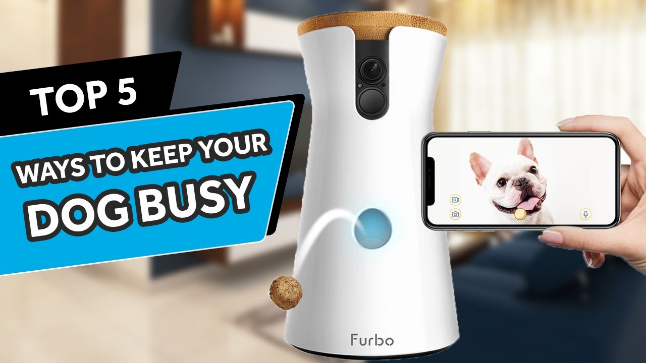 8 Ways to Keep Your Dog Busy While You're at Work