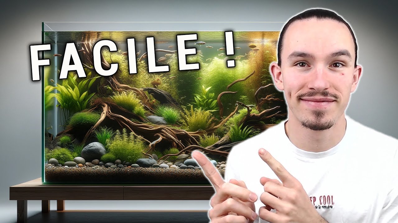 AQUARIUM POUR D&Eacute;BUTANT : LE GUIDE COMPLET