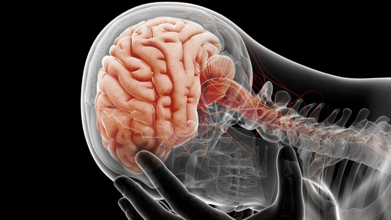 Documentaire 2021 - Les Myst&egrave;res du Cerveau Humain - Reportage ARTE - Documentaire Science 2021
