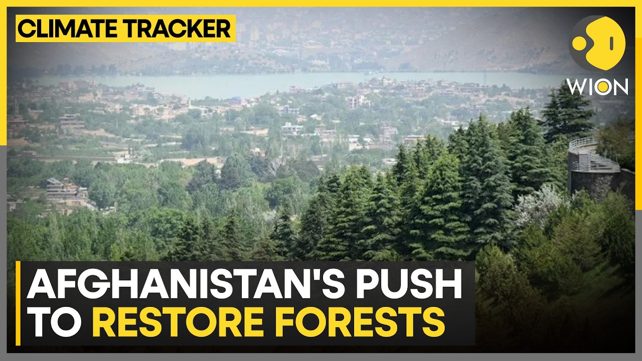 Afghanistan&rsquo;s Community-Led Green Push Restores Forest Cover Lost to War | WION