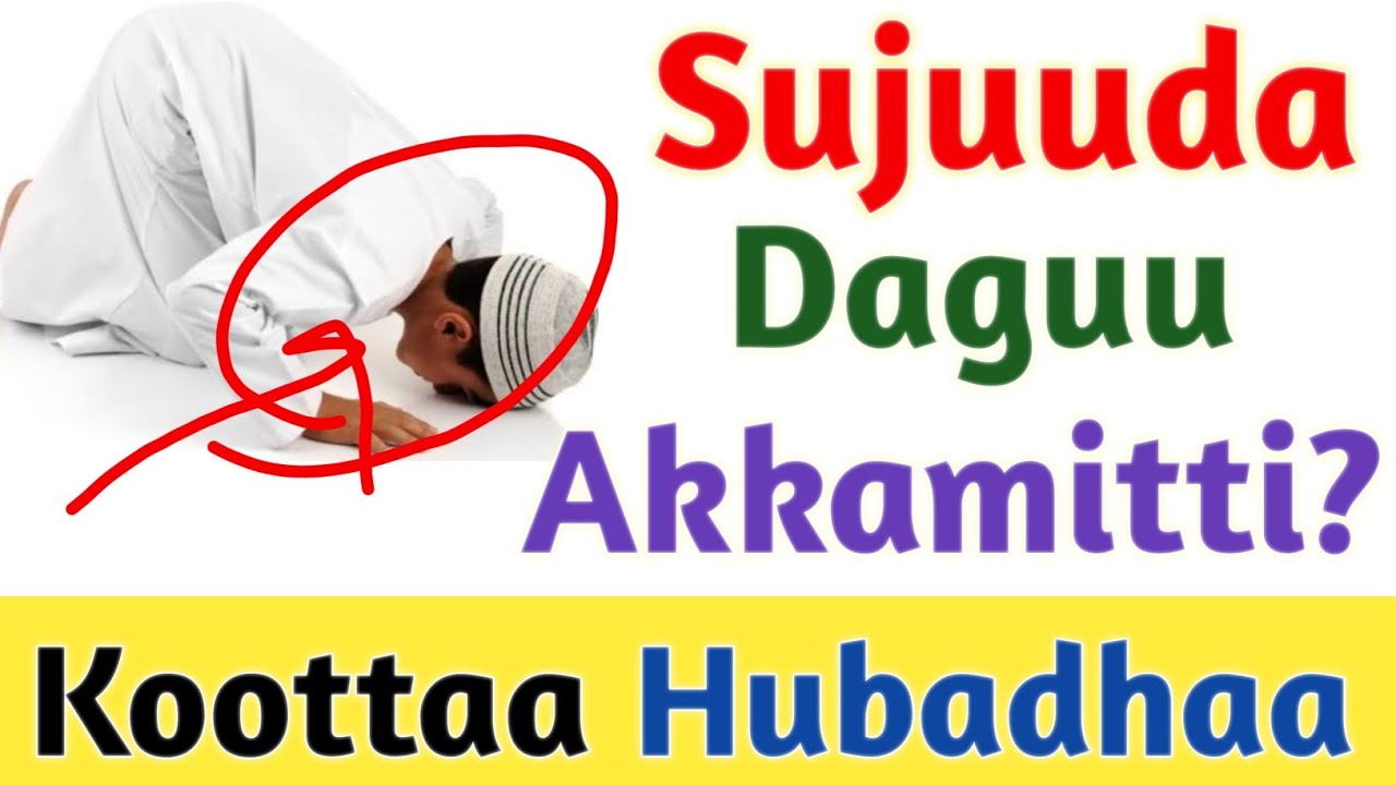 Sujuuda Daguu | Sahwii | Salaata Keessatti Yeroo Dagatan Maal Godhan?  | Barnoota Salaataa