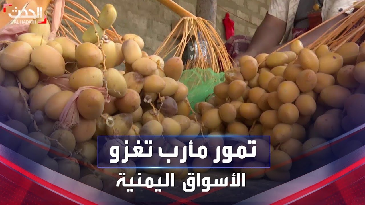 تمور مأرب تدخل المنافسة في الأسواق اليمنية