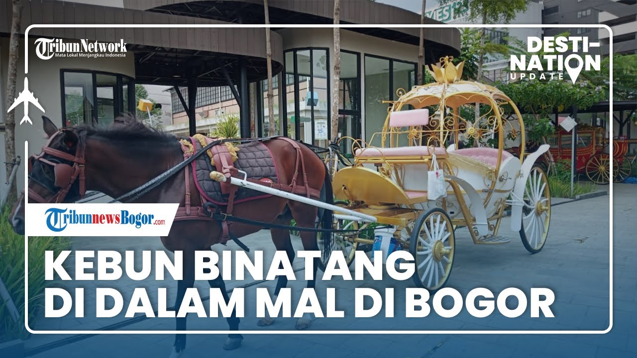 🔴 DESTINATION UPDATE: Mengunjungi Kebun Binatang di Dalam Mall di Bogor
