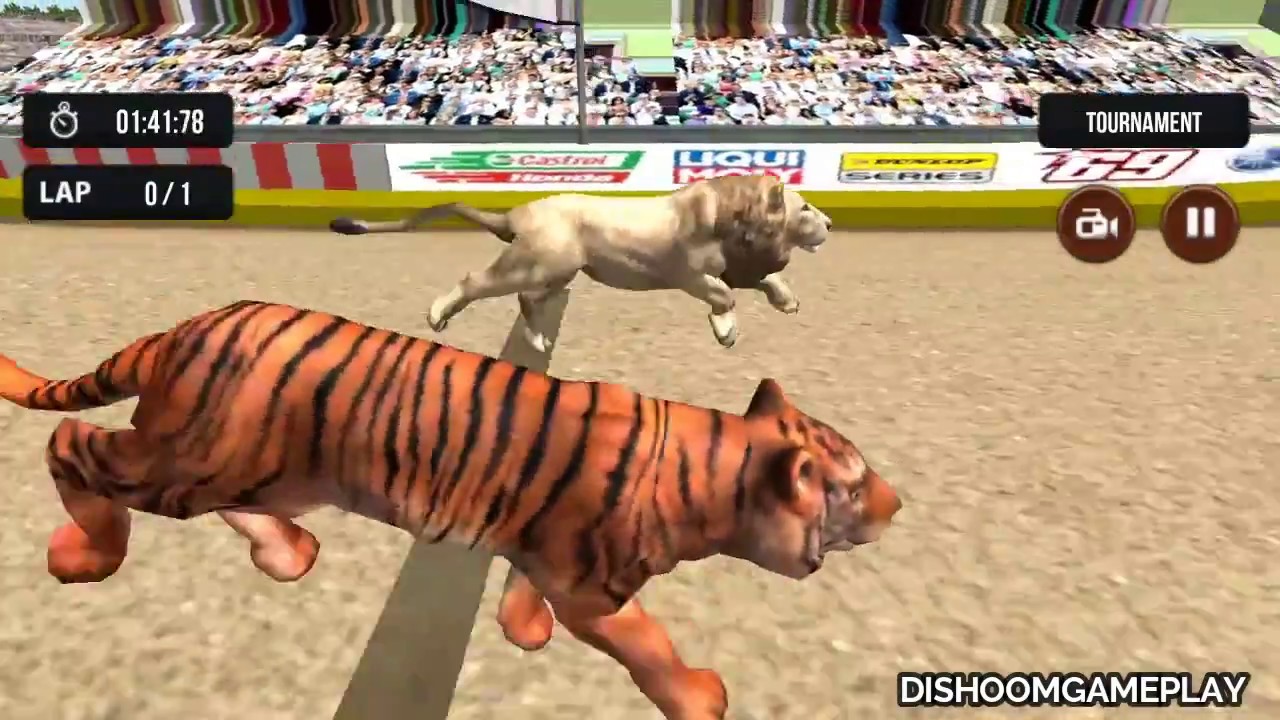 Wild Lion Racing Fever : Animal Race #6 | Lion Hunt Horse - Dishoomgameplay
