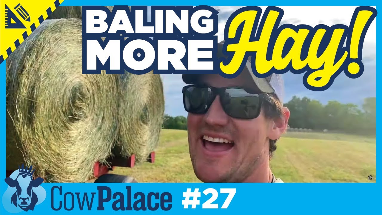 Baling HAY and HOPING nothing breaks! | Building Our Cow Palace - Ep27