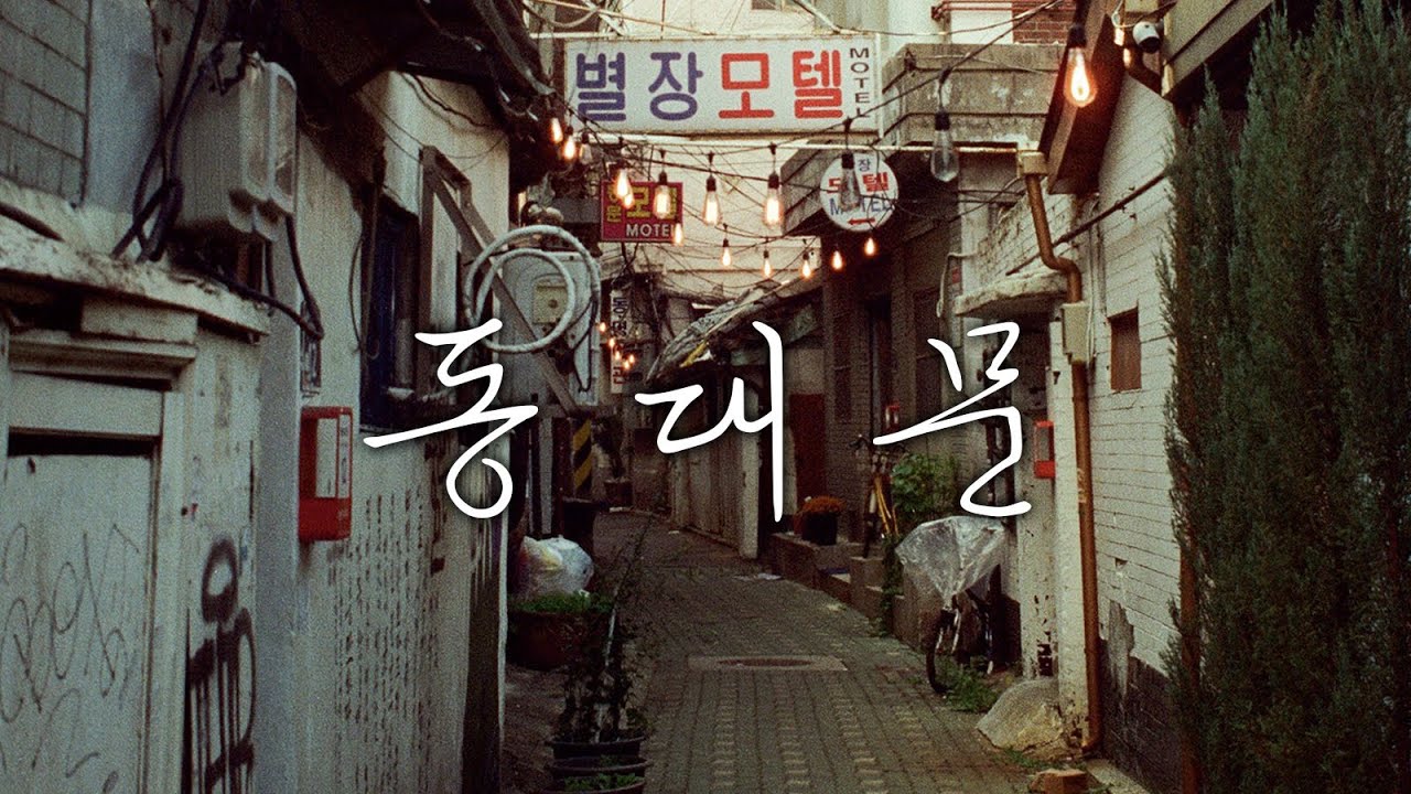 동대문 출사 / 씨네스틸 400D랑 800T