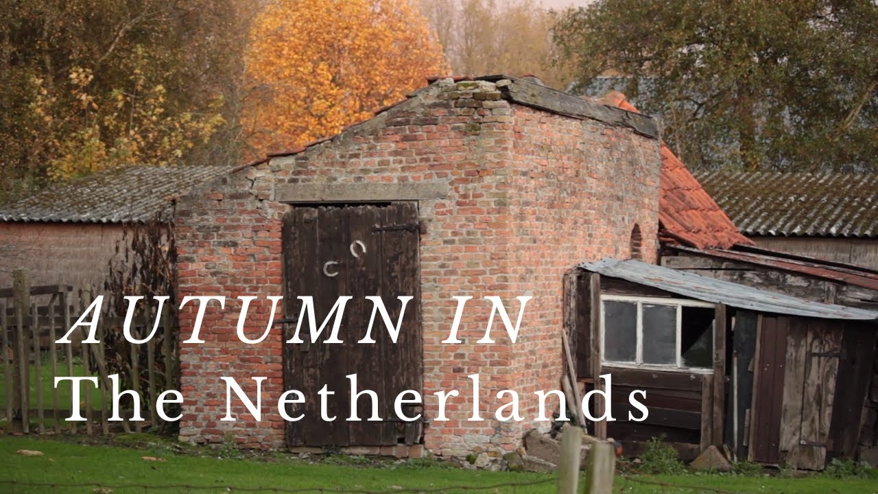 Autumn in my Dutch Countryside Village 🍂 | Slow Living in The Netherlands
