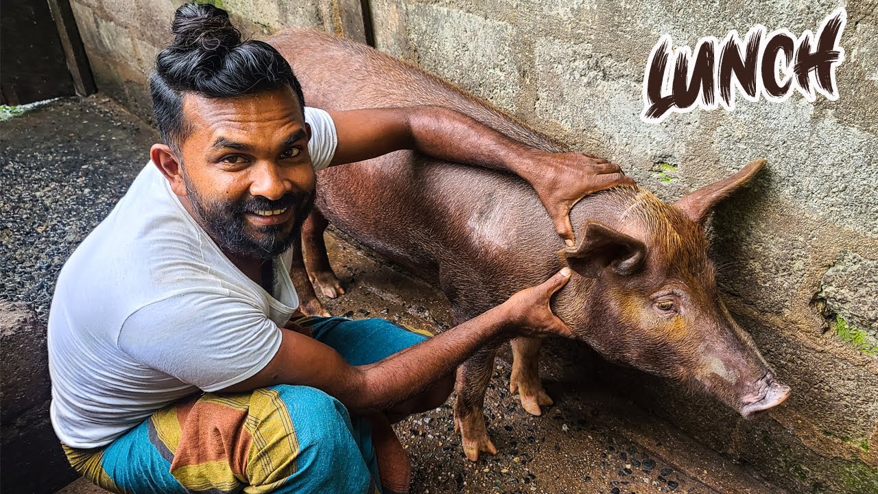 I made a pork curry without pork😋 Natural black pork curry recipe - Village food cooking channel