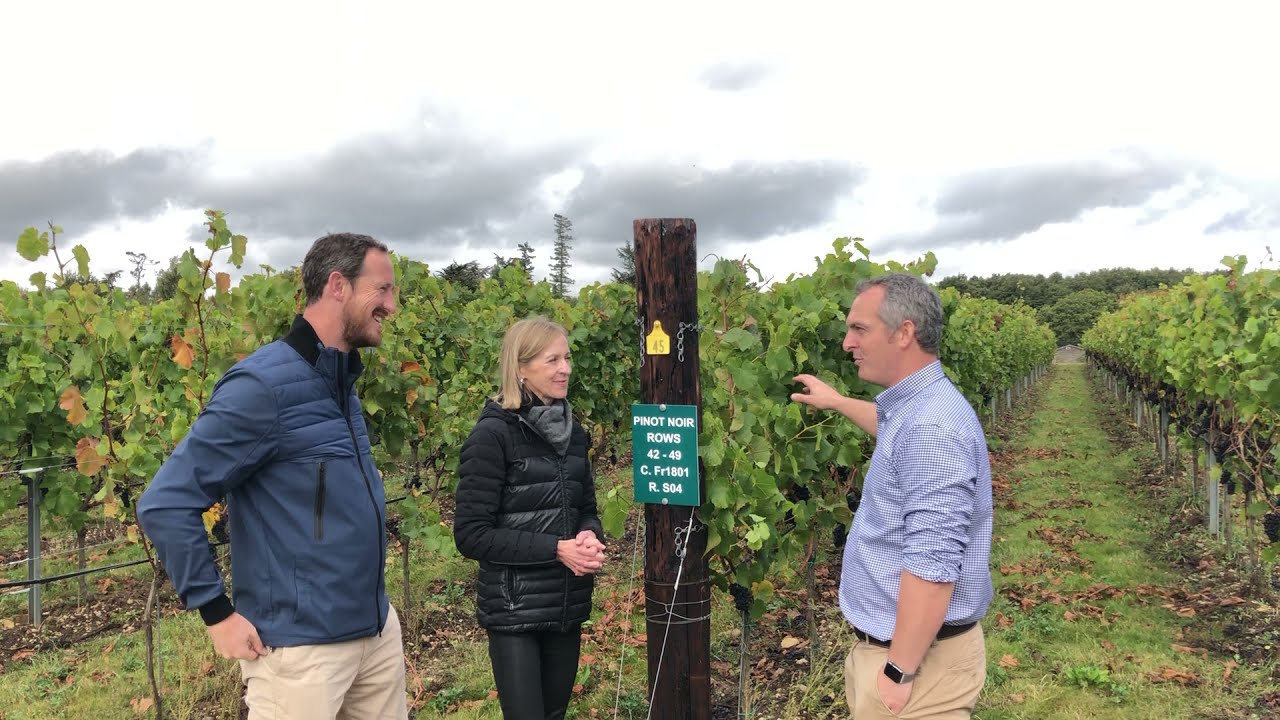 Susie and Peter chat fine Essex wine, and the Big English Wine Adventure, with Liam at Danbury Ridge