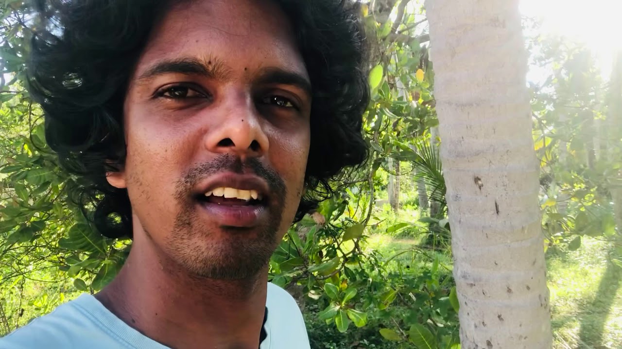 How to understand coconut 🥥 and education | Kapila Rasnayaka