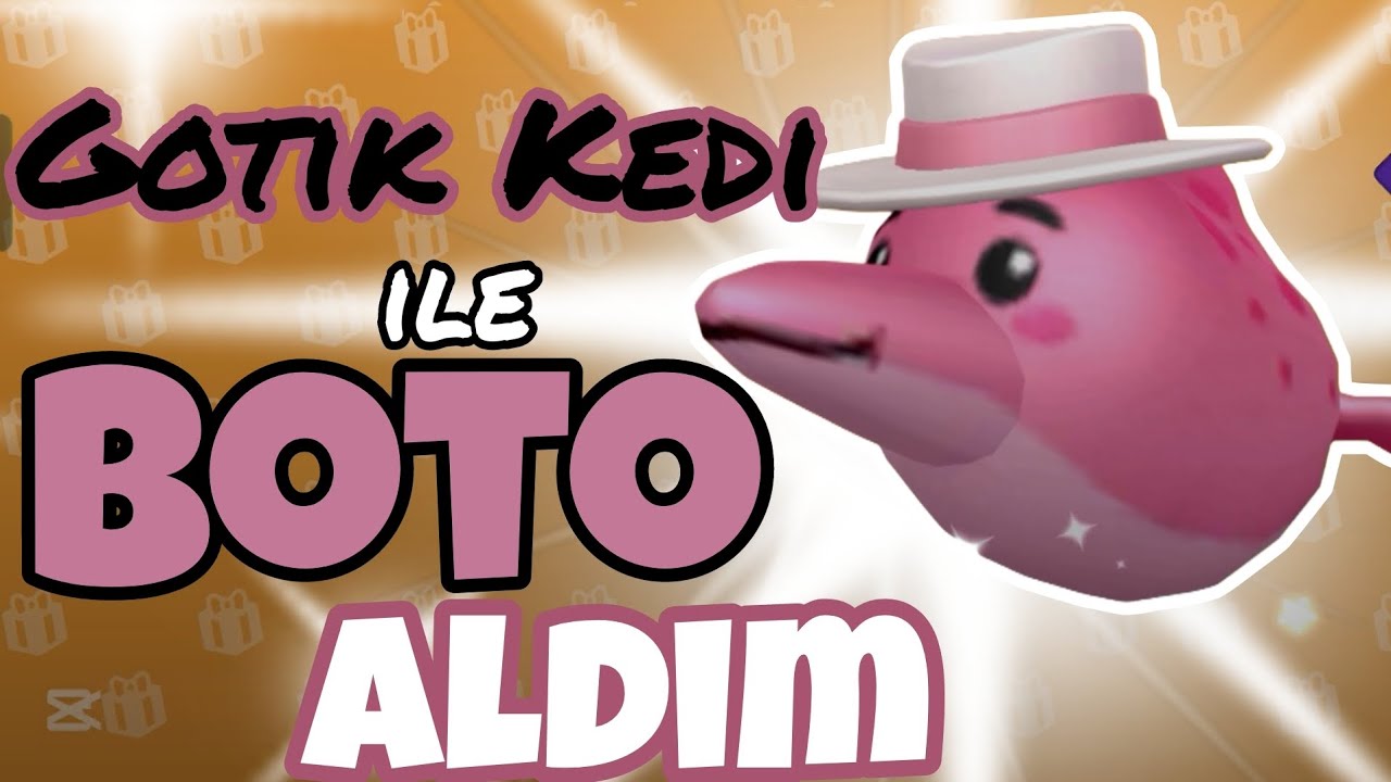 Gotik Kedi İle Boto Alınır mı?