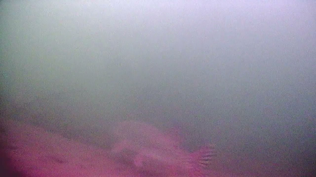 Речная засада