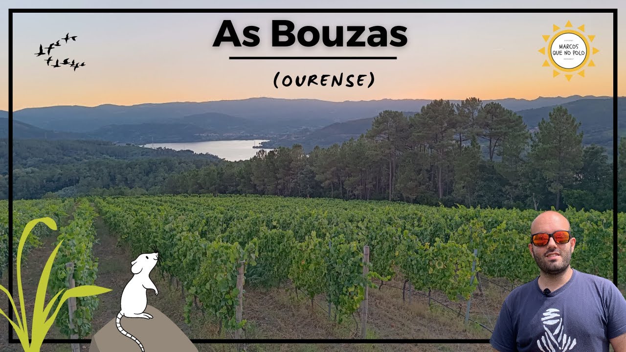🔵 AS BOUZAS, En Castrelo de Miño. Un mirador al Rio Miño