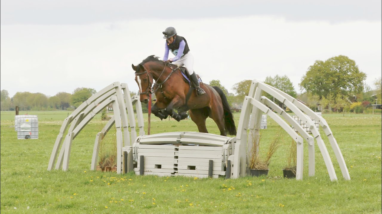 SGW Hoogenweg, klasse L paarden, 20-04-2024 *FOUTLOOS*