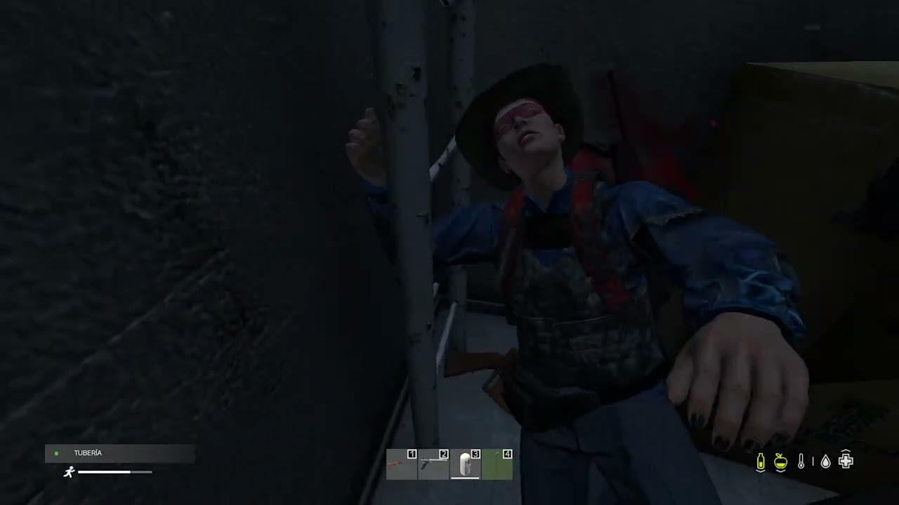 my first 30 hours playing dayz in 4 minutes