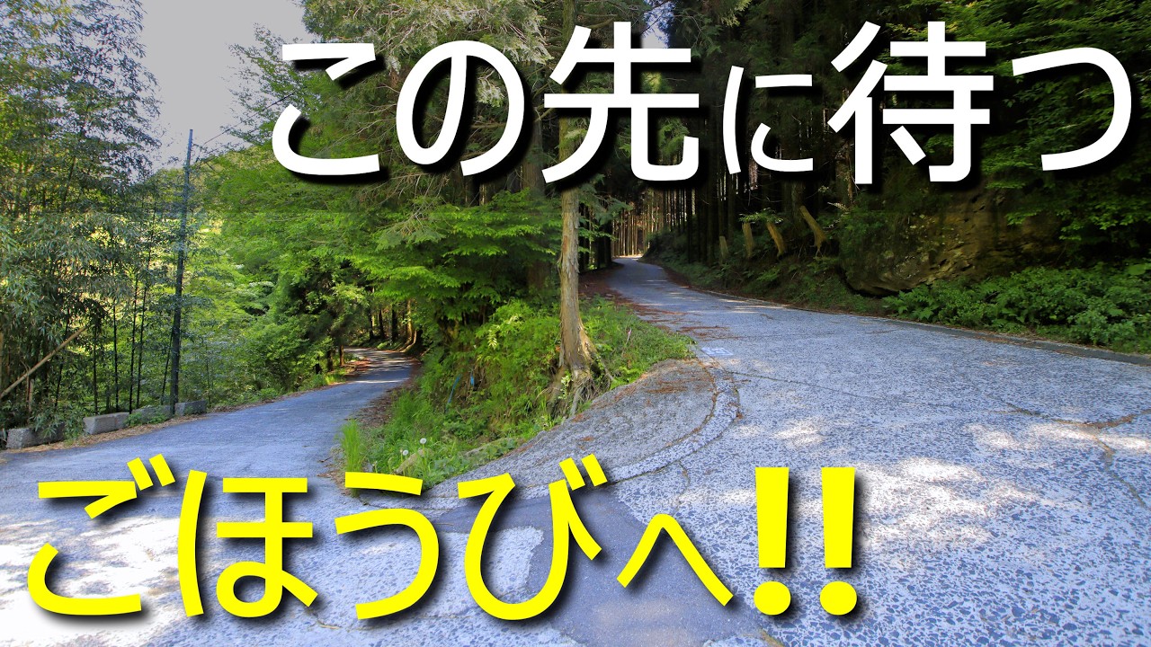 【険道/狭路も絶景も廃な雰囲気も楽しめる納涼険道】大分県道704号 菅原山浦線【九重町・玖珠町・日田市】