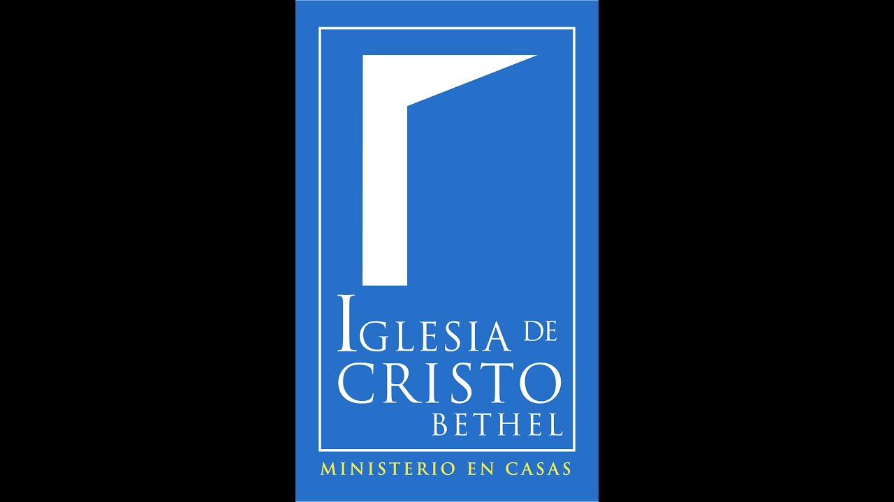 Domingo - 15/02/26