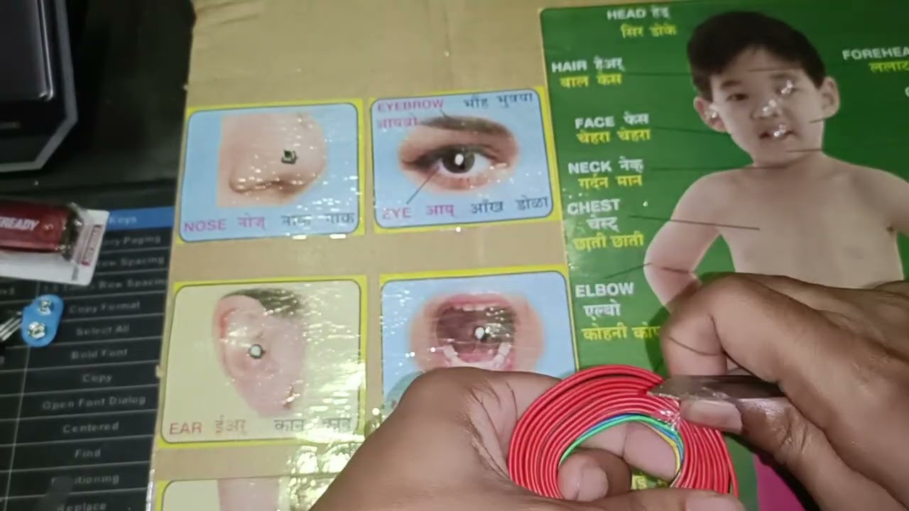 Human Body Organs |Science For Kids | Home Learning science project