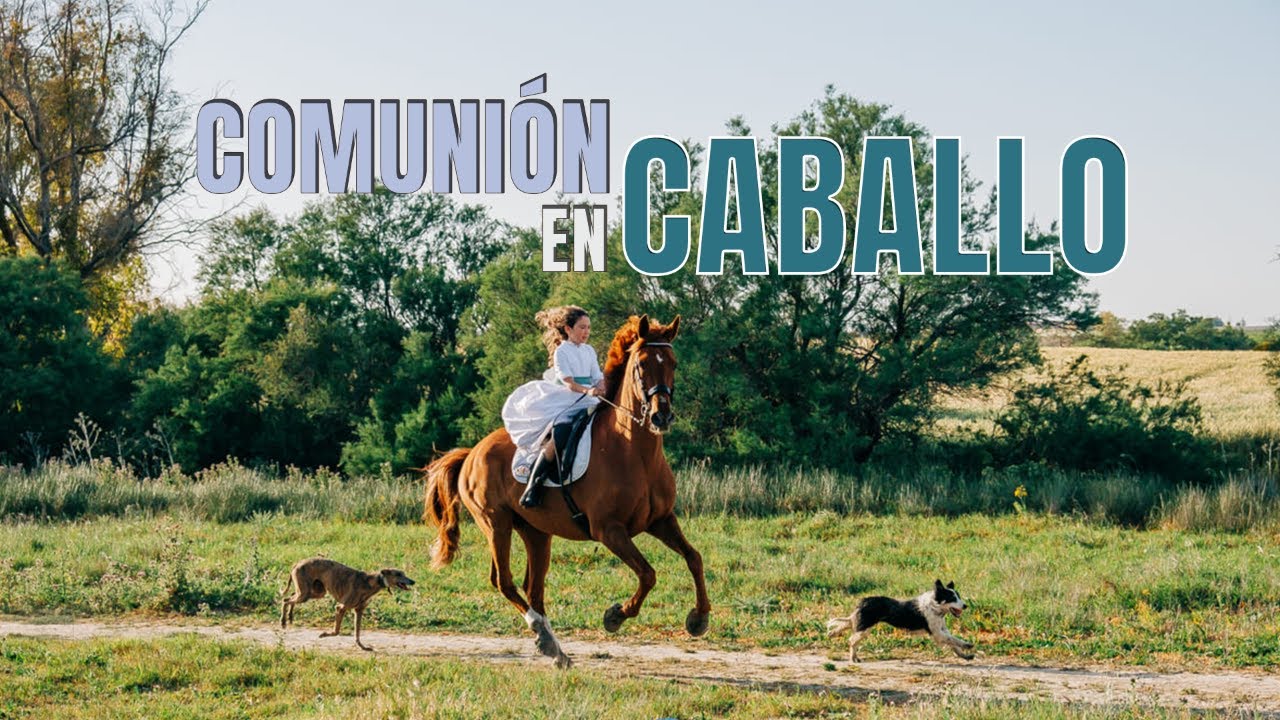 ✨ Encantos Ecuestres: Captura Tu Comunión a Caballo en Jerez y El Puerto 🐎📷