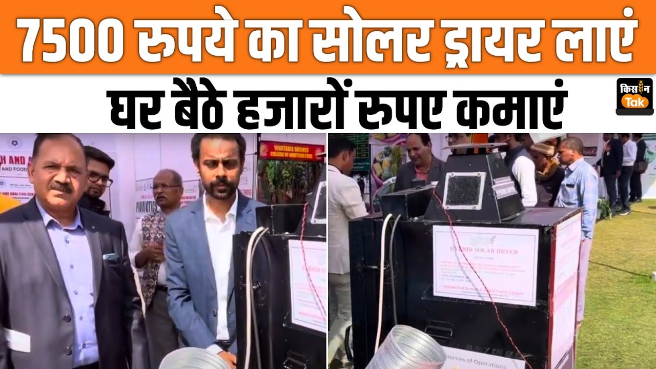 Solar Dryer:सिर्फ 7500 रुपए के सोलर ड्रायर किसान कमा सकते हैं हजारों रुपये हर महीने ! | Kisan Tak