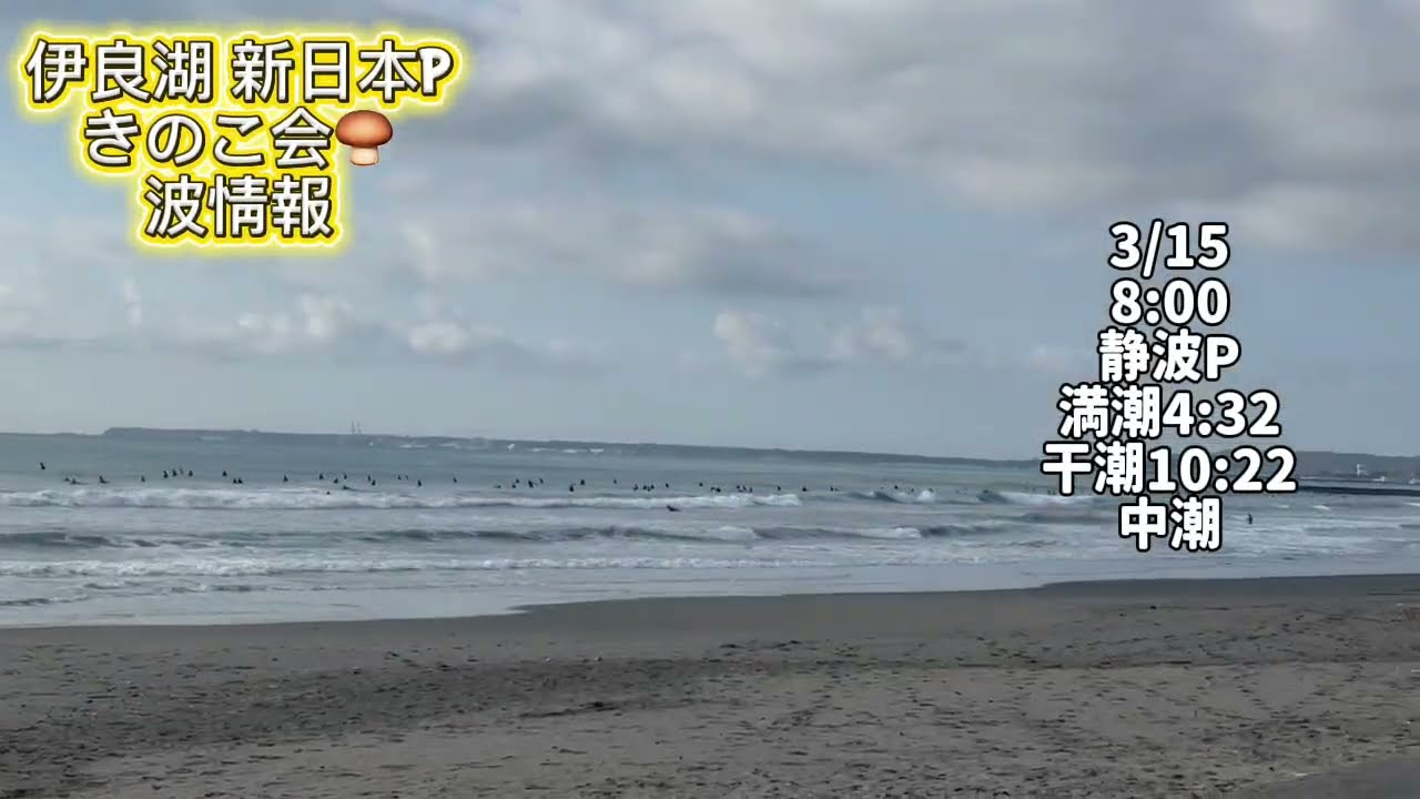 3/15 8:00 静波P【伊良湖波情報】2026年
