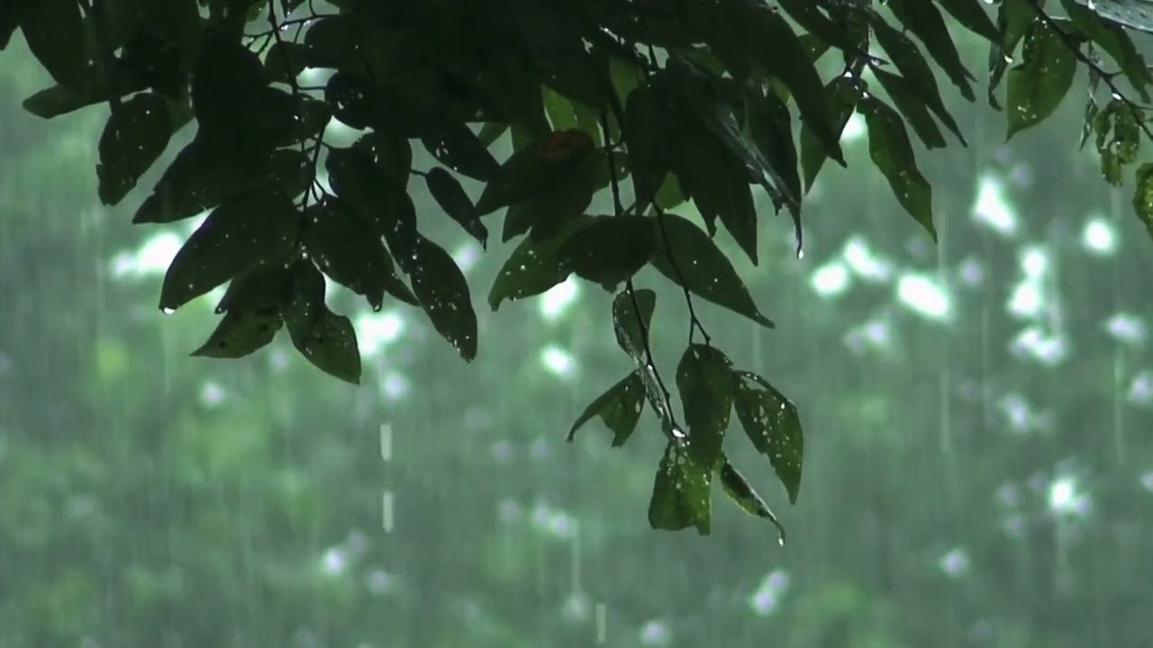 30 Minutes Relaxing Rain Music For Stress Relief And Stops Overthinking
