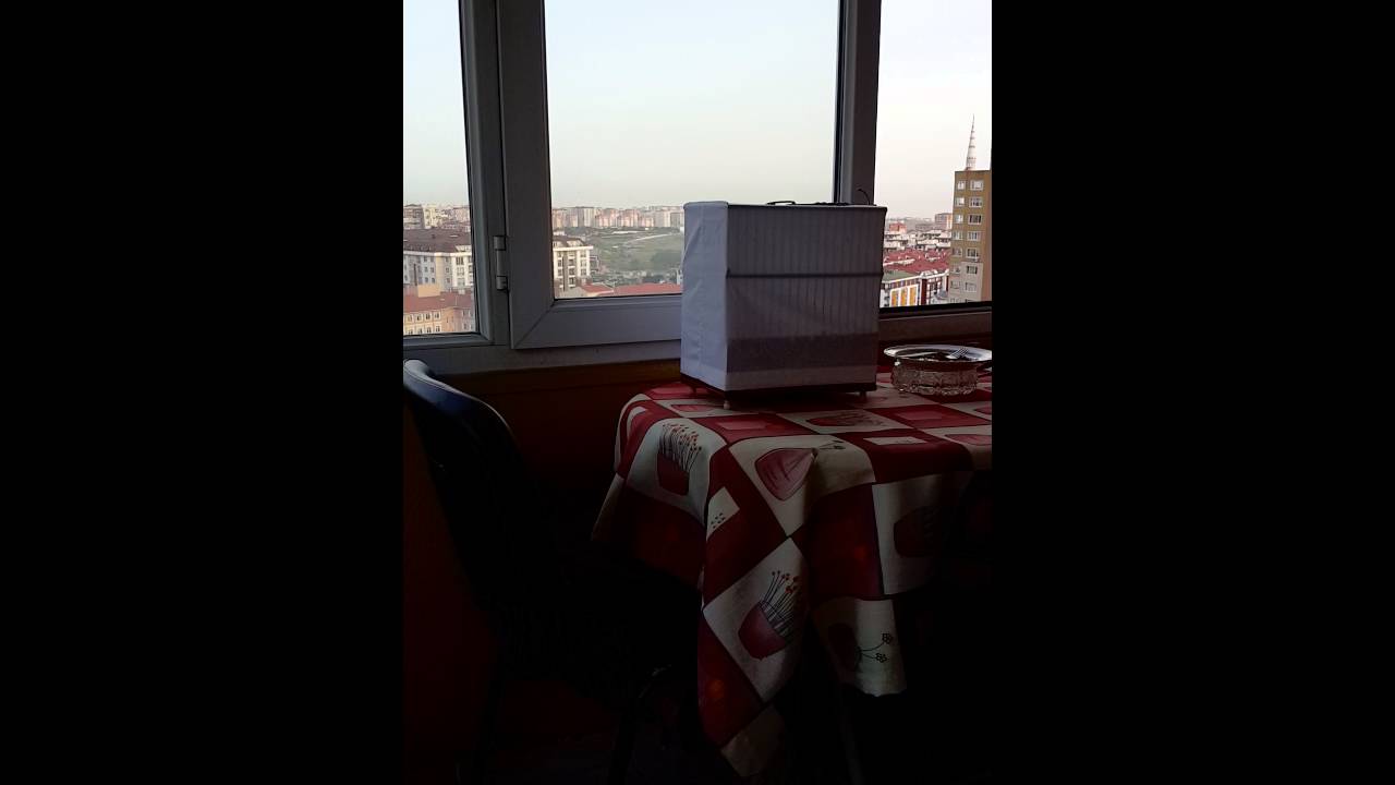 Ispinoz bir baska dag ispinozu