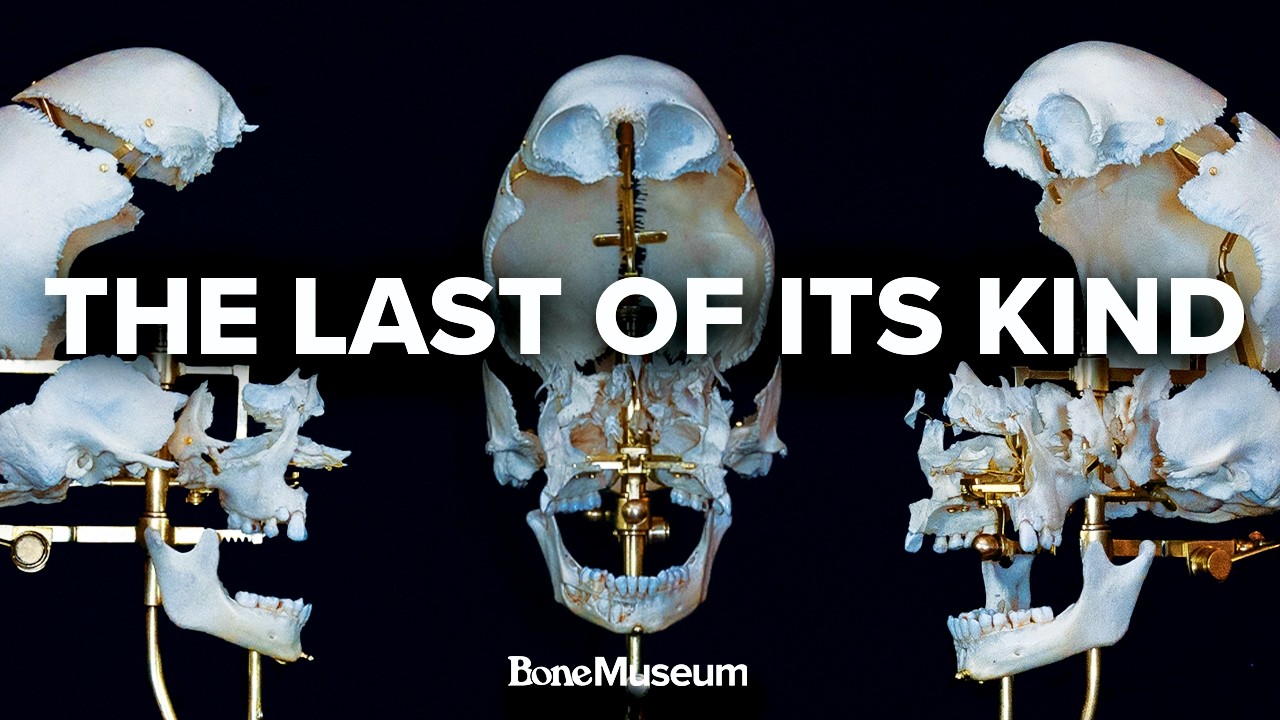 EXPLODED SKULL | A Craft on the Brink of Extinction
