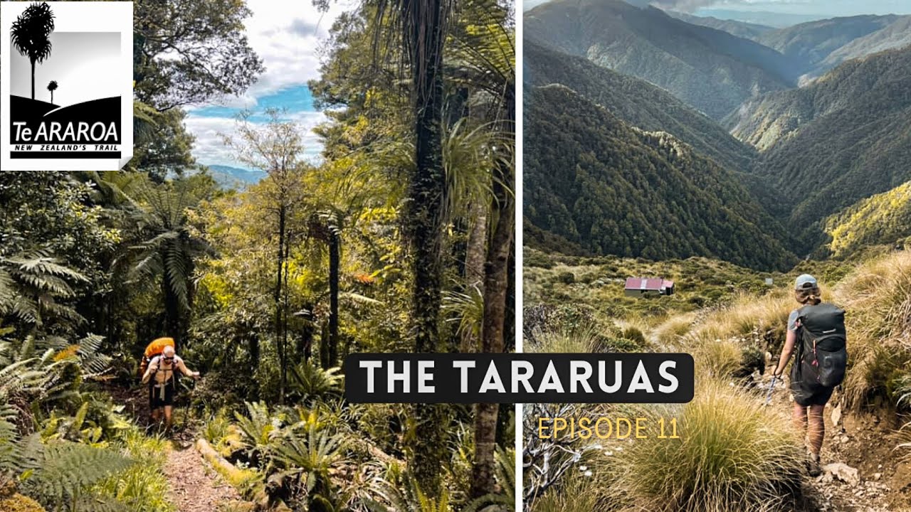 Te Araroa Trail | Episode 11 - THE TARARUA'S | New Zealand Thru Hike