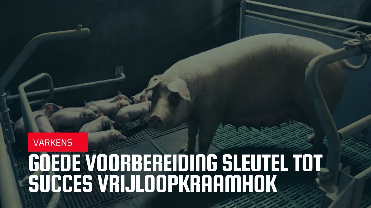 Goede voorbereiding sleutel tot succes vrijloopkraamhok