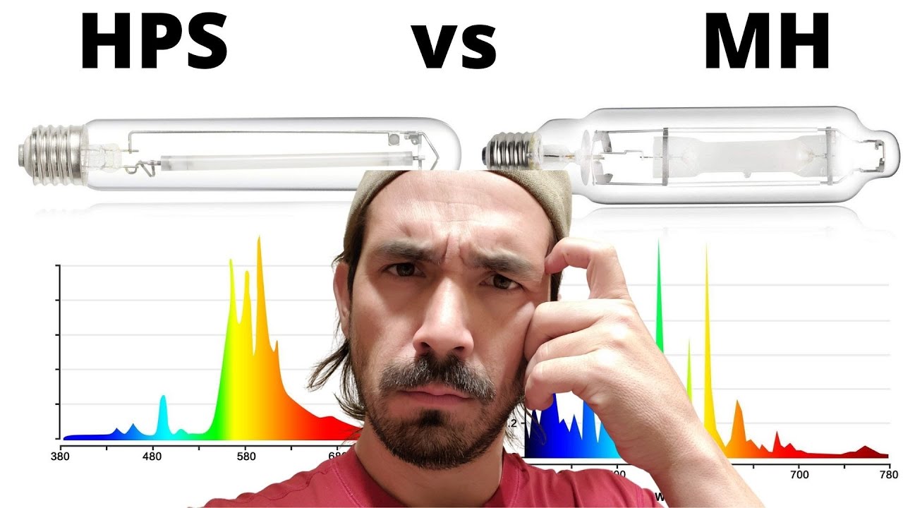 High Pressure Sodium and Metal Halide: What's the Difference?