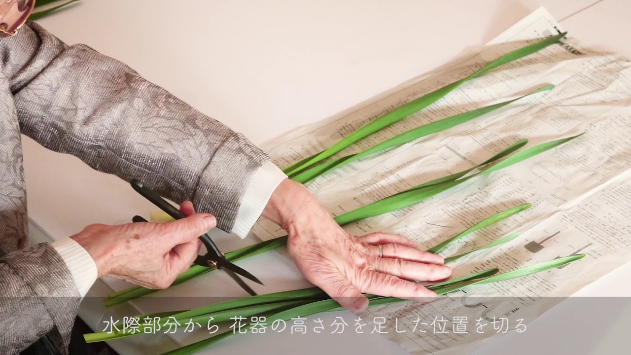 【生け花】水仙の生け方
