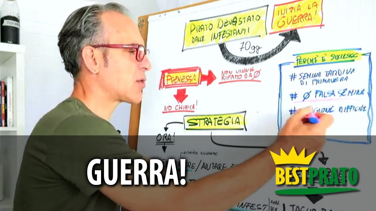 Prato Rovinato dalle INFESTANTI - Inizia la GUERRA! - Ep.1