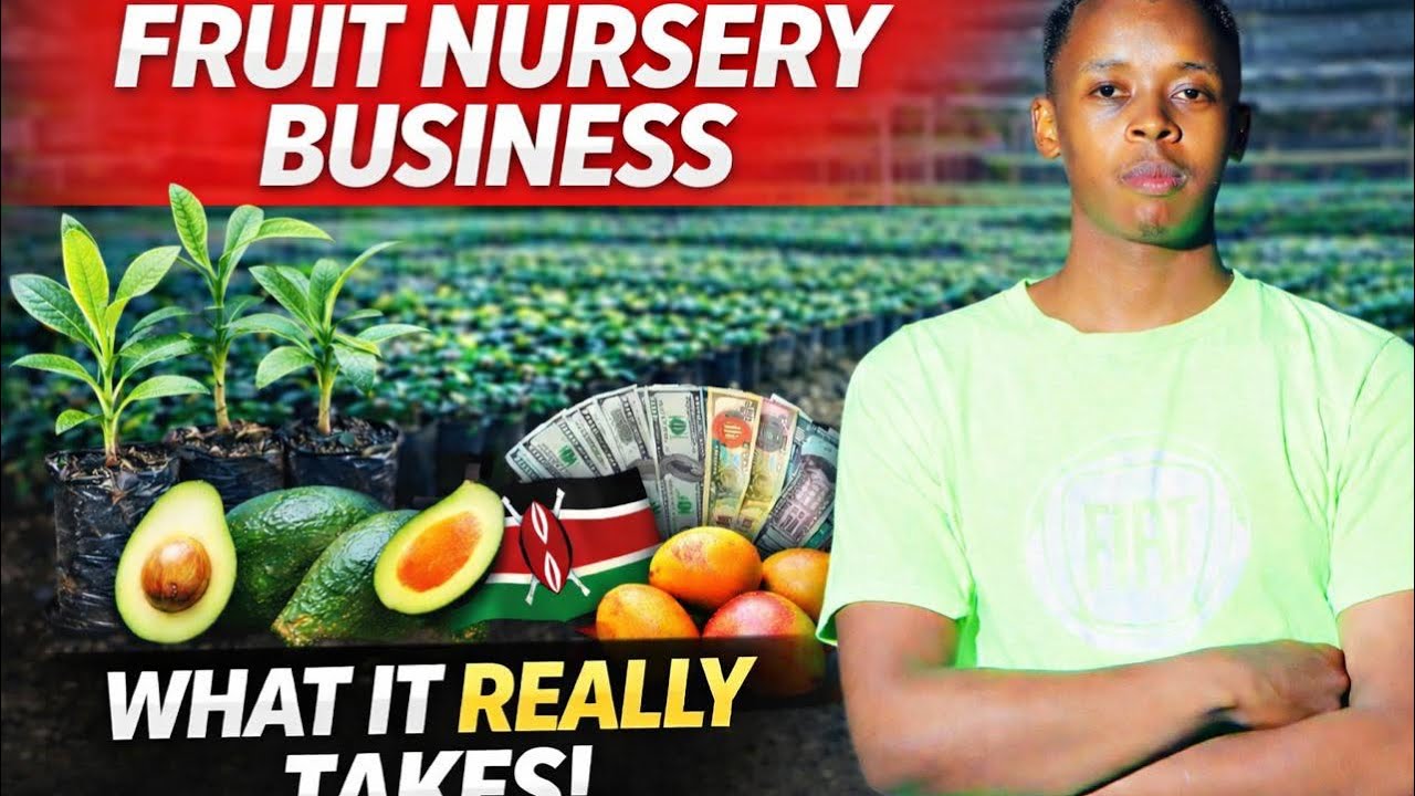 SHAMBA TOURS: What It Really Takes to Run a Fruit Orchard.