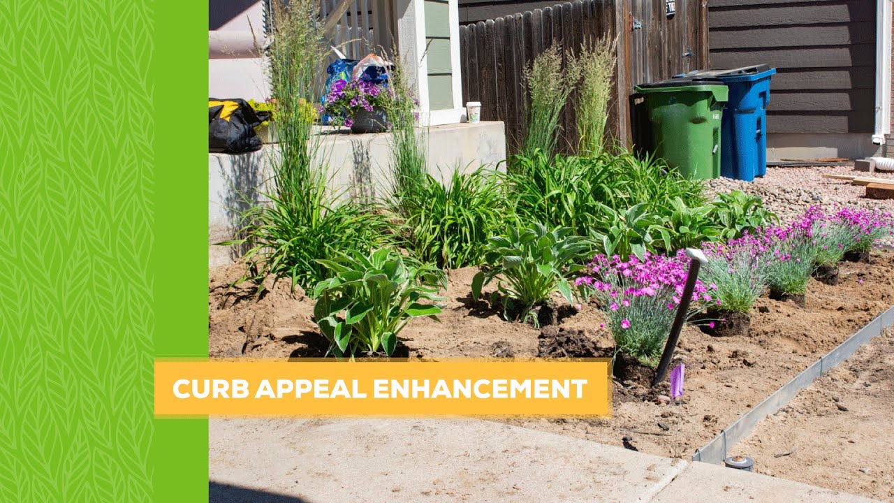 Transforming a Small Landscape: Before & After Makeover 🌿 | Curb Appeal Upgrade