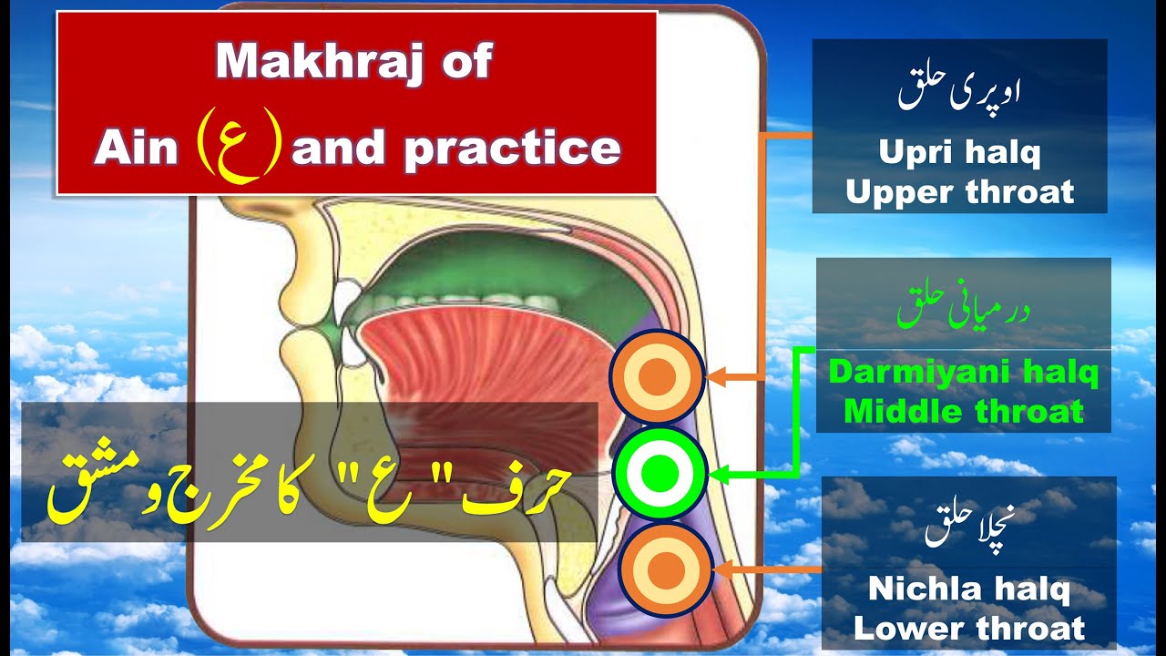 Pronunciation of letter Ain ( ع ) in Quran | Makhraj of Ayn letter |  Arabic Alphabet Pronunciation