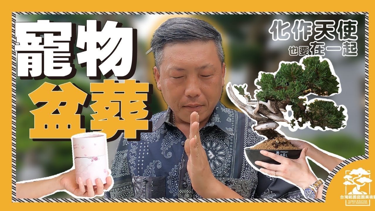 ｜寵物盆葬‼️生命的延續 承載思念原來還有這種方式｜