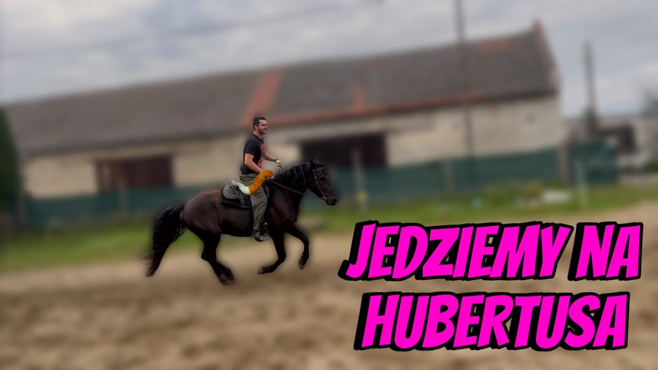 Hubertus w @Ranczo Bluunif | INTERWENCJA WET