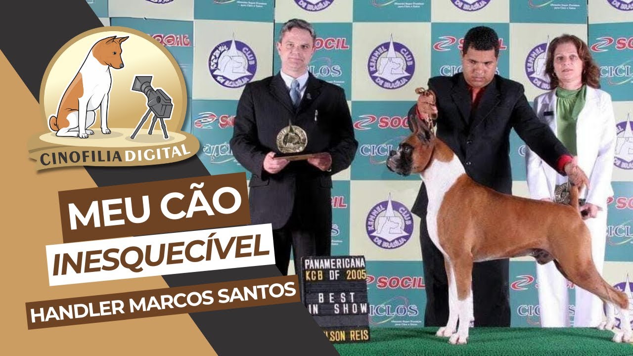 Meu cão inesquecível | Handler Profissional Marcos Santos | Cinofilia Digital