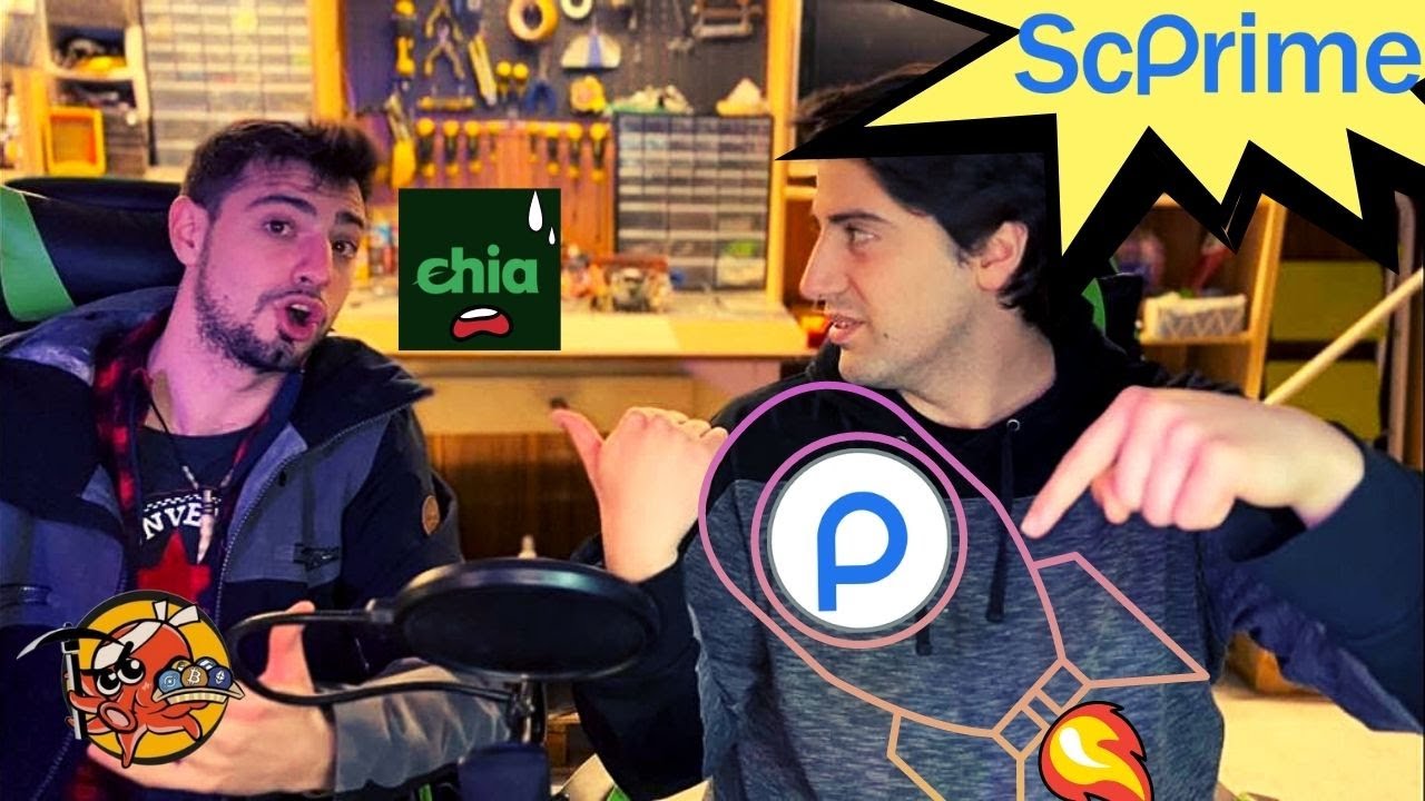 #1 NUOVA CRYPTO ALTERNATIVA A CHIA!!! &mdash; SCPrime ITA