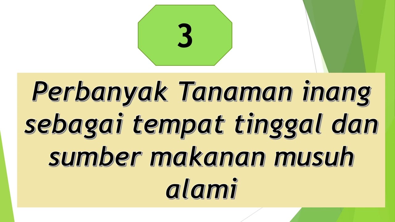 Hama ulat Bagian 4_Mempertahankan dan Mengembangkan Musuh Alami Ulat Pemakan Daun Sawit