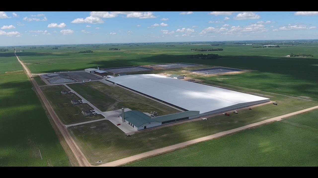 Meadowstar Dairy