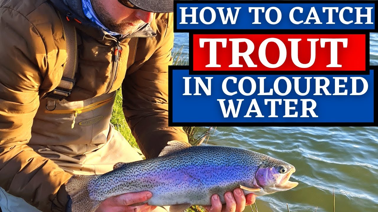 Ловля форели нахлыстом в мутной воде - озера Эллердайн - UKFlyFisher