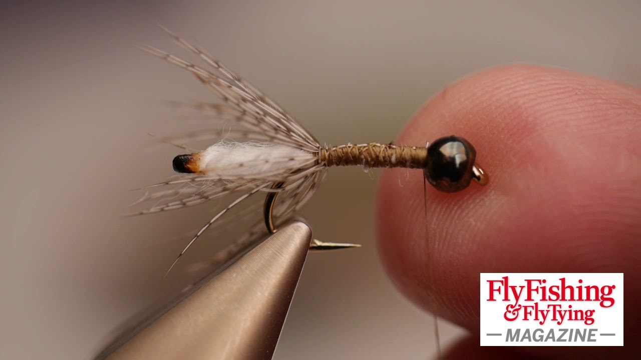 Peeping Caddis