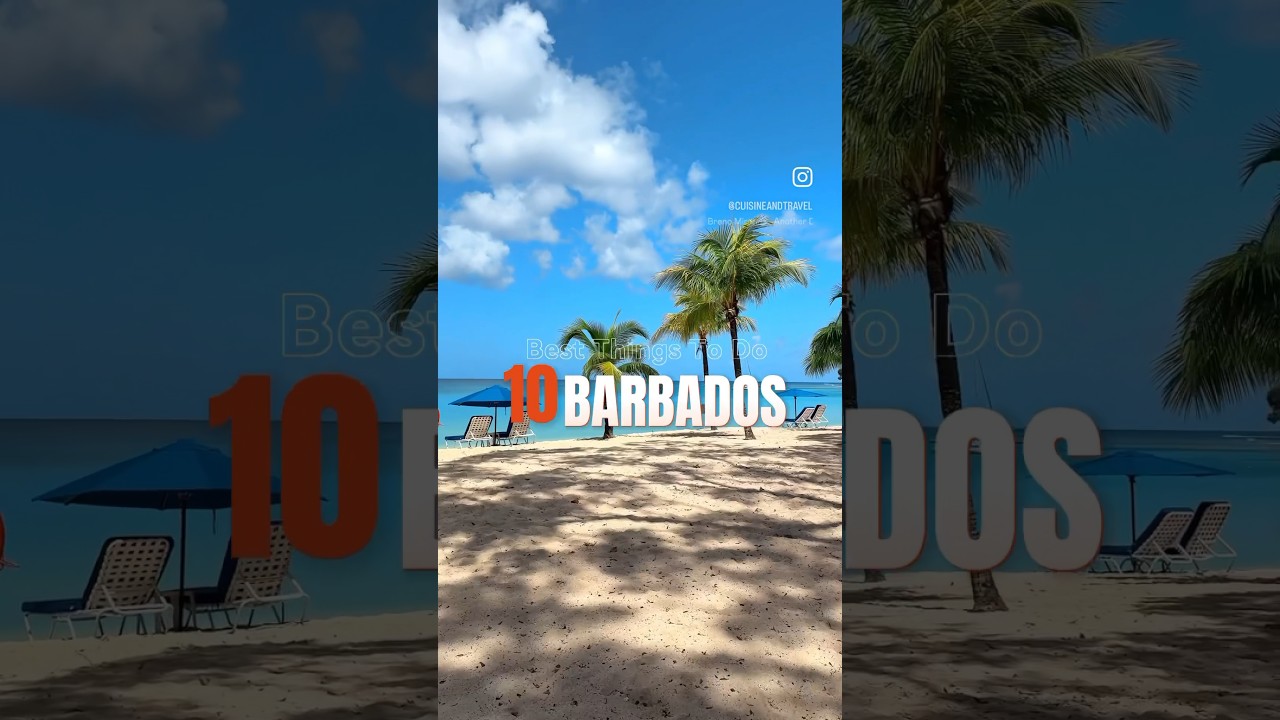The Best Things to do in Barbados!